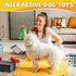 Christmas Dog Gifts, Dog Toys for Small Dogs Dog Toothbrush for Teething Cleaning, Rubber Dog Squeaky Toys for Puppy...