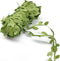 21.8 Yard Leaves Trim Ribbon, Green Leaf Ribbon for Crafts, Artificial Vines for Wedding Party Baby Shower Home Decoration, Foliage Rattan for DIY...