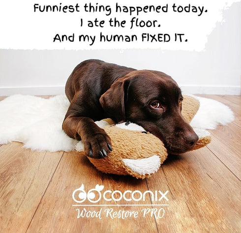 Coconix Floor & Furniture Repair Kit | Fix Scratches, Scuffs, and Dents on Hardwood Floors, Furniture, and Laminate Surfaces | Easy Application wi...