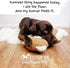 Coconix Floor & Furniture Repair Kit | Fix Scratches, Scuffs, and Dents on Hardwood Floors, Furniture, and Laminate Surfaces | Easy Application wi...