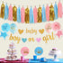 Baby Gender Reveal Decorations - Glitter Letters Baby and Boy or Girl with Hearts Banner, Tissue Paper Tassels Garland Set for Gender Reveal Party...