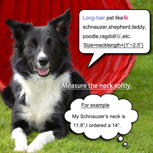 Gold Dog Collar 14mm/20mm Cat Puppy Chain Zircon Cuban Link Chain Handmade Iced out Diamond Exaggerated Dollar Pendant Full Cz Prong Set Pet Jewel...
