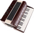 Dselvgvu Miniature Accordion with Case Mini Musical Instrument Replica Collectible Miniature Dollhouse Model Home Decoration (Red, 4.06"x3.53"x1.5...
