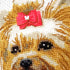 RIOLIS Counted Cross Stitch kit 2152 Yorkshire Terrier...