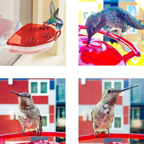 Solution4Patio 2 Pack Window Hummingbird Feeders, New Upgrade Stronger Suction Cups, 13-Ounce Nectar Capacity, Jewel Box Designed #G-B115B00-US...