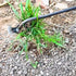 Weed Puller Tool, 2023 New Durable Premium Manganese Steel Weeding Tool, 4 Teeth 2 in 1 Weeder, High Strength Hand Remover Tool for Gardening, Pla...