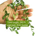 Naidiler 265 Ft Leaf Ribbon, Artificial Vines Leaves String Trim Ribbon Wild Jungle Botanical Greenery for Baby Shower Party Wedding Home Wreaths ...