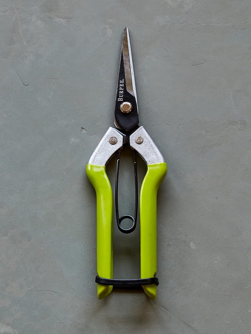 Burpee CR725 Garden Pruning Shears - Garden Hand Tools - Lightweight Precise Pruners for Gardening - Great for Flower Trimming or Vegetable Harves...