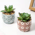 Artificial Plants Succulent Flowers in Ceramic Planter 2 Pack Small Fake Plants Potted for Home Office Desk Decor Farmhouse Living Room Bedroom Sh...