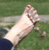 Iconikal 8-Pack Gel Toe Spacers, Medium, Bunion Cushion Separator Corrector & Foot Pain Relief...