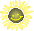 Sunshine Flower Stencil, 10 x 10 inch (M) - Large Flower Face Baby Childs Nursery Stencils for Painting Template...