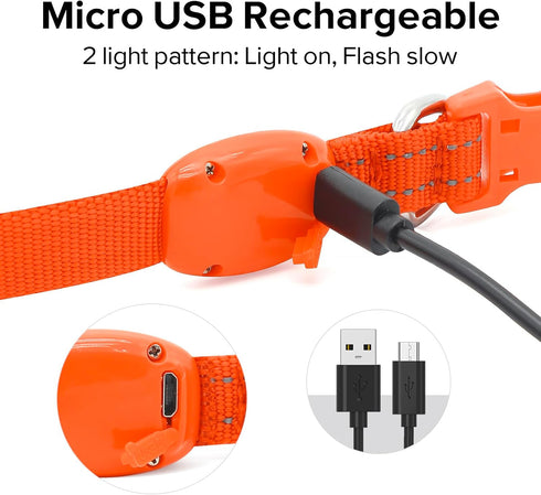 Light Up Dog Collars - Rechargeable LED Dog Collar, Reflective Puppy Collar Dog Lights for Small Breeds Dogs Or Cats (Orange, XS (8.5-11.8inch / 2...