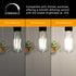 Ascher Dimmable Vintage LED Edison Bulbs, 6W, Equivalent 60W, Bright Daylight White 4000K, 80+ CRI, ST58 Antique LED Filament Bulbs, E26 Medium Ba...