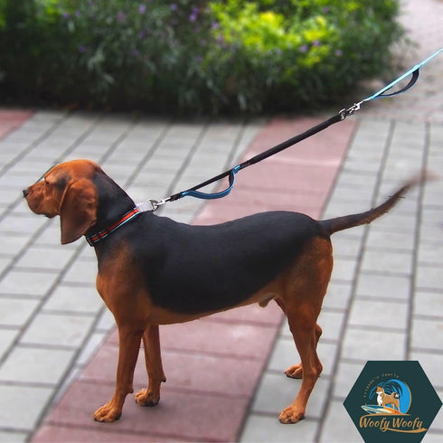 Extension Elastic Leash, Bungee Dog Leash, Shock Absorbing, Front Control Handle, Reflective Webbing, High Strength Swivel Metal Attachment Point,...