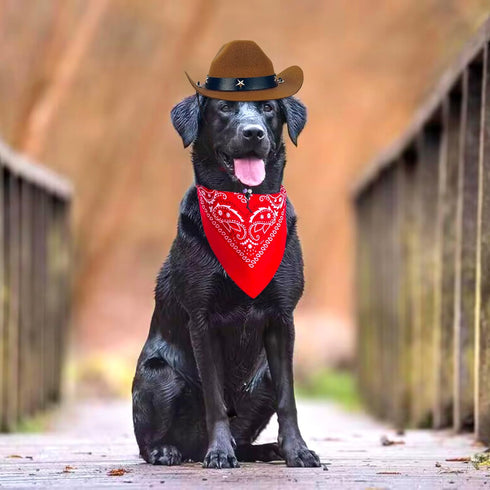 Pet Cowboy Hat Bandana Costume, Funny Dog Cat Costume Accessories Set West Cowboy Accessories for Mexican Birthday and Holiday Party Daily Wearing...