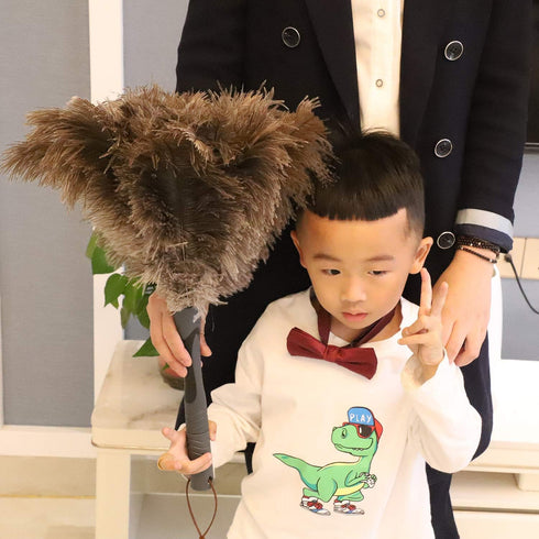 Ostrich Feather Duster, Big and Soft and Fluffy Duster,22 inch (Gray)...