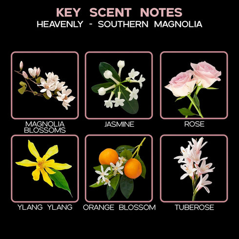 LOVSPA Heavenly Southern Magnolia Reed Diffuser Oil Refill with Replacement Reed Sticks | Jasmine, Rose, Ylang Ylang, Orange Blossom, Tuberose & M...
