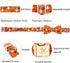 Elegant little tail Halloween Dog Collar, Fall Dog Collar Orange Pumpkin Holiday Pet Dog Collar Dog Bow Collar Pet Durable Adjustable Girl Boy Dog...