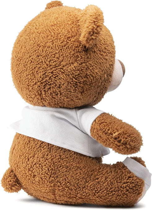PREXTEX 12-Inch Get Well Soon Plush Bear - Soft Stuffed Teddy Bear - Get Well Soon Gifts for Kids Stuffed Animals - Get Well Soon Stuffed Toy - Ge...