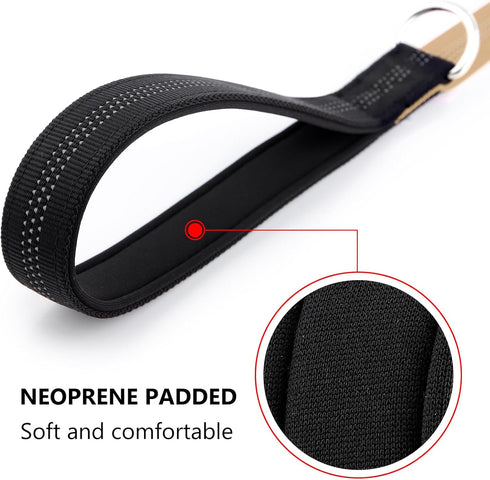 Plutus Pet Double-Sided Reflective Nylon Dog Leash, Soft Padded Handle for Comfort, 6 FT/5 FT/4 FT Heavy Duty Dog Leash for Puppy Small and Medium...