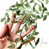 132 ft Large Leaf Trim Ribbon,Artificial Greenery Garland Vines for Baby Shower DIY Craft Party Wedding Home Decoration...