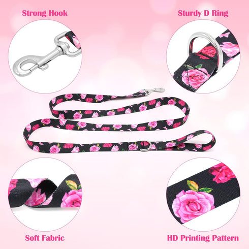 5 ft/Foot Black Dog Leash for Girl Medium Breed Dogs...