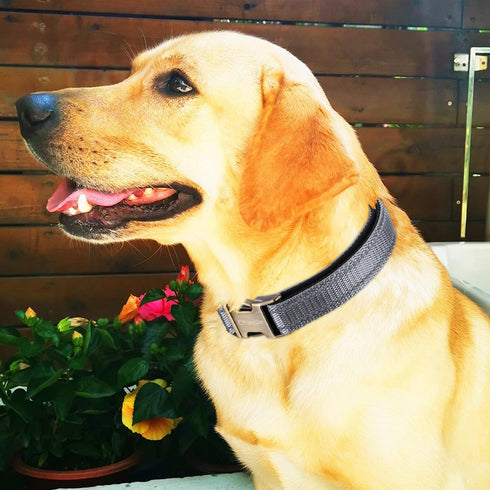 Reflective Dog Collar,Metal Buckle Soft Neoprene Padded Breathable Nylon Pet Collar Adjustable for Small Medium Large Boys Girls Dogs (Grey, Small...