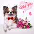 azuza Valentine's Day Dog Collar Removable Valentine Bowtie Dog Collar with Romantic Pink Sparkly Hearts Pattern Adjustable Spring Dog Collar Vale...