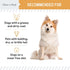 Chew + Heal Labs Omega Salmon Jerky Dog Treats - 5 oz of Soft Salmon Jerky for Skin and Coat - Made with Wild Alaskan Salmon, Flaxseed, Oat Flour,...