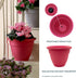 The HC Companies 6 Inch Caribbean Planter - Lightweight Indoor Outdoor Plastic Plant Pot for Herbs and Flowers, Pink Rose...