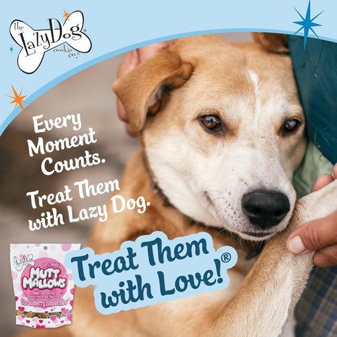 The Lazy Dog Cookie Co. Soft Dog Treats, Mutt Mallows Strawberry Smoochies, for Small, Medium and Large Dogs, Wheat-Free, Baked in The USA, 5 oz. ...