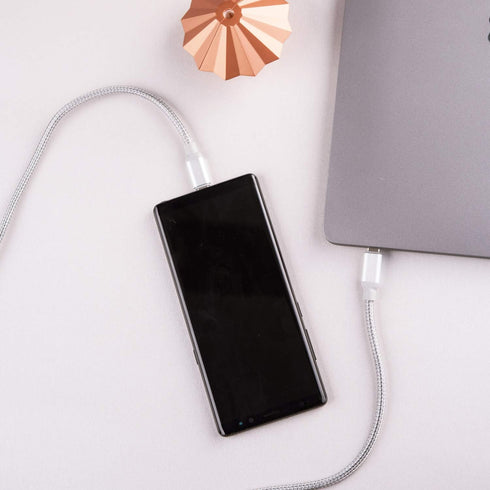 ADAM elements CASA C100+ USB3.1 Gen 2 USB-C to USB-C 5A/100W PD Cable, Sync Data Speed up to 10Gbps (3.3ft, Silver)...