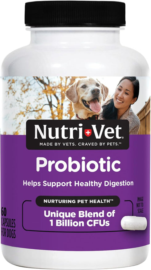 Nutri-Vet Probiotics Capsules for Dogs | Supports Digestive Health | For All Size Dogs | Promotes Healthy Immune System | Vet Formulated | 60 Coun...