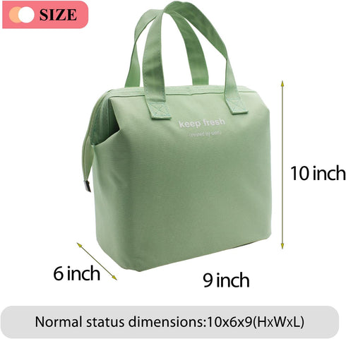 Mziart Insulated Lunch Bag Simple Bento Cooler Bag Lunch Tote Bag for Lunch Box for Women Men Adult Picnic Working Hiking Beach (Light Green)...