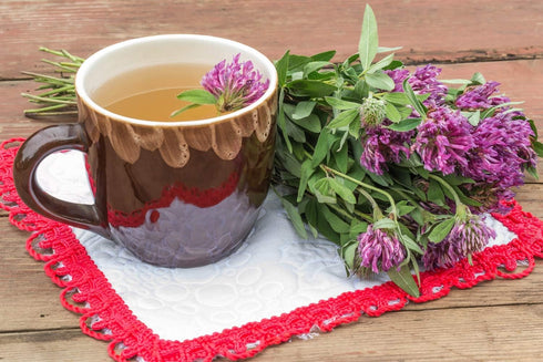 Health Embassy Red Clover Flower | Trifolium Pratense L | 100% Natural (50g)...