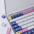 JOMKIZ Keycap Storage Box ABS Material New Upgraded High Transparent Full 104 Key Box for XDA Cherry SA OEM CSA Mechanical Keyboard Keycaps(Keycap...
