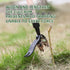 Garden Weed Puller Tool Device Manual Weeding Tool with Claw Stand Up Weed Root Pulling Tool and Picker, Grabber That Allows for Standing Use No B...