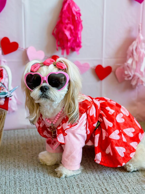 Fitwarm Valentines Day Sweet Heart Dog Dress, Dog Holiday Outfit, Dog Clothes for Small Dogs Girl, Pet Cat Apparel, Red, Pink, Small...