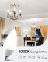 KINDEEP LED Candelabra Light Bulbs Dimmable 60 Watt Equivalent, Daylight 5000K, 600LM, E12 Candle Bulb Base 6W Ceiling Fan Lightbulbs Type B Bulb ...