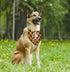 Dog Bandana, Emotional Support Animal Dog Bandana, Dog Scarf Classical Plaid Printing, Dog Scarf Accessories, Dog Bandana Pet Scarf, ESA Pet Scarf...