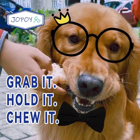 Dog Chew Toys for Aggressive Chewers Large Breed, Non-Toxic Nlyon Indestructible Dog Toys, Tough Durable Puppy Chew Toy for Medium Large Dogs - Fu...