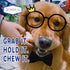 Dog Chew Toys for Aggressive Chewers Large Breed, Non-Toxic Nlyon Indestructible Dog Toys, Tough Durable Puppy Chew Toy for Medium Large Dogs - Fu...