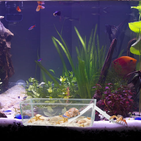 2 Pack Transparent Hermit Crab Water Tanks with Cuttable Climbing Ramp, Ideal Hermit Crab Habitat and Toy for Small to Large Hermit Crabs, Hermit ...