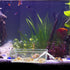 2 Pack Transparent Hermit Crab Water Tanks with Cuttable Climbing Ramp, Ideal Hermit Crab Habitat and Toy for Small to Large Hermit Crabs, Hermit ...