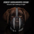 Dog Muzzle,Mesh Soft Muzzle for Small Medium Large Sized Dogs, Breathable Reflective Adjustable Puppy Muzzles with Collar for Scavenging Grooming ...