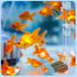 Aquarium Fish Shrimp Feeding Dish Set Clear Fish Feeder Tube and Dish with Cleaning Brush and Measuring Spoon for Feeding Shrimp and Preventing Fo...