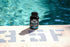 ONNIT Antarctic Krill Oil - 1000mg Per Serving - No Fishy Smell or Taste - Packed with Omega-3s, EPA, DHA, Astaxanthin & Phospholipids - Supports ...