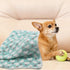 1 Pack 3 Puppy Blankets Super Soft Warm Sleep Mat Love Print Blanket Fluffy Fleece Pet Blanket Flannel Throw Dog Blankets for Small Dogs Puppy Dog...