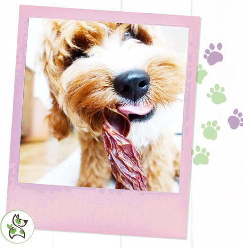 Nature Gnaws - Beef Jerky Springs for Dogs - Premium Natural Beef Gullet Sticks - Simple Single Ingredient Tasty Dog Chew Treats - Rawhide Free 7-...