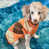 Dog Sweater Pet Knitted Clothes - Classic Plaid Pull Over Turtleneck Dog Sweaters with Leash Hole Warm Dogs Winter Clothing for Small Medium Dogs ...